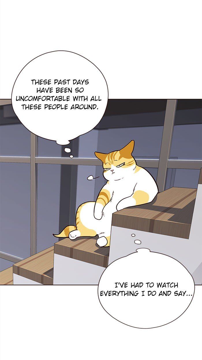 Eleceed Chapter 035 page 96