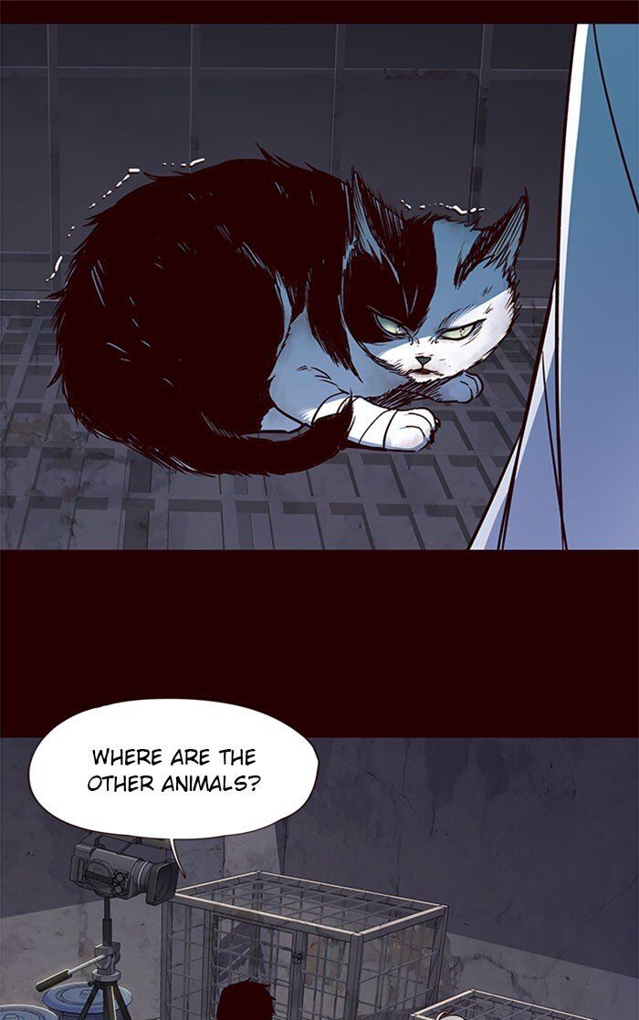 Eleceed Chapter 036 page 10