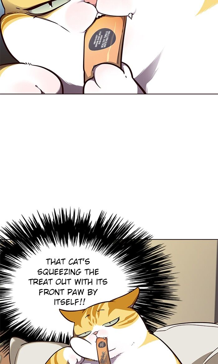 Eleceed Chapter 050 page 8