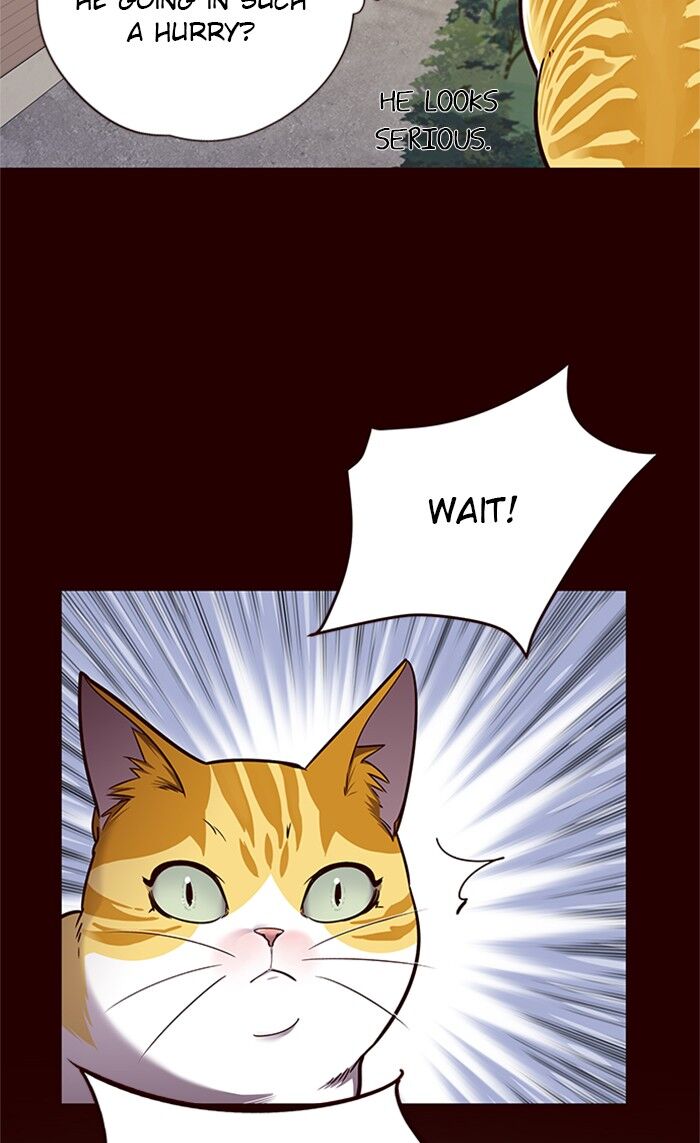Eleceed Chapter 052 page 59