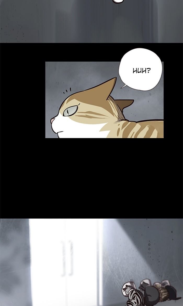 Eleceed Chapter 056 page 4