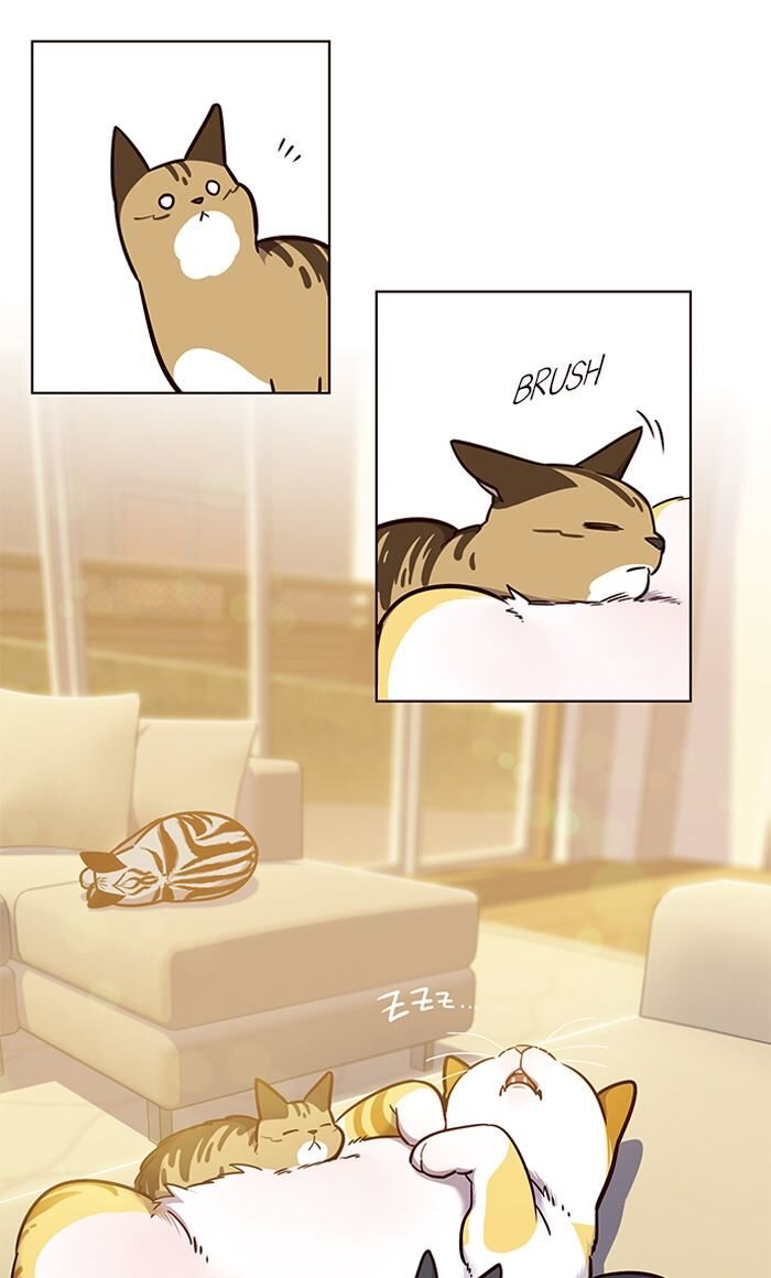 Eleceed Chapter 056 page 22