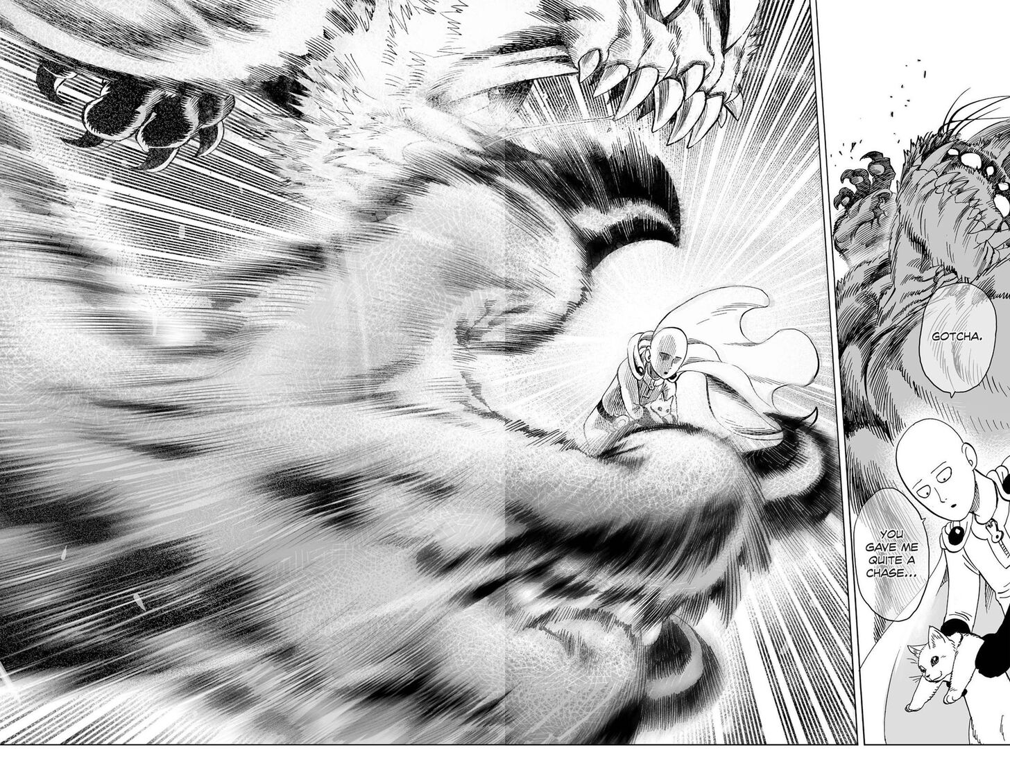 Onepunch-Man Vol.08 Chapter 040.5 page 28