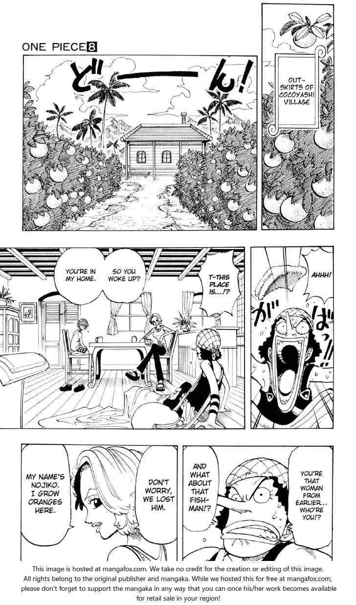 One Piece Vol.08 Chapter 070 page 15