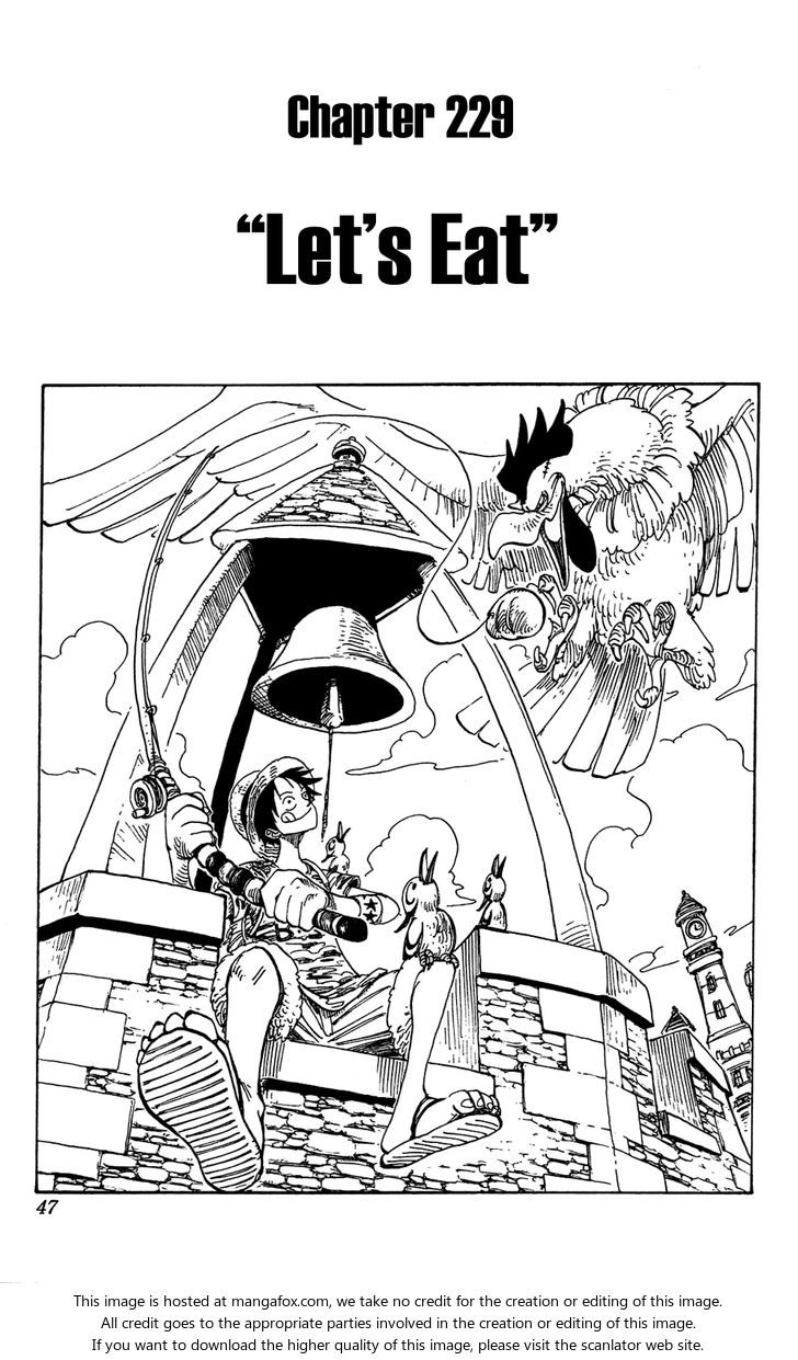 One Piece Vol.25 Chapter 229 page 1