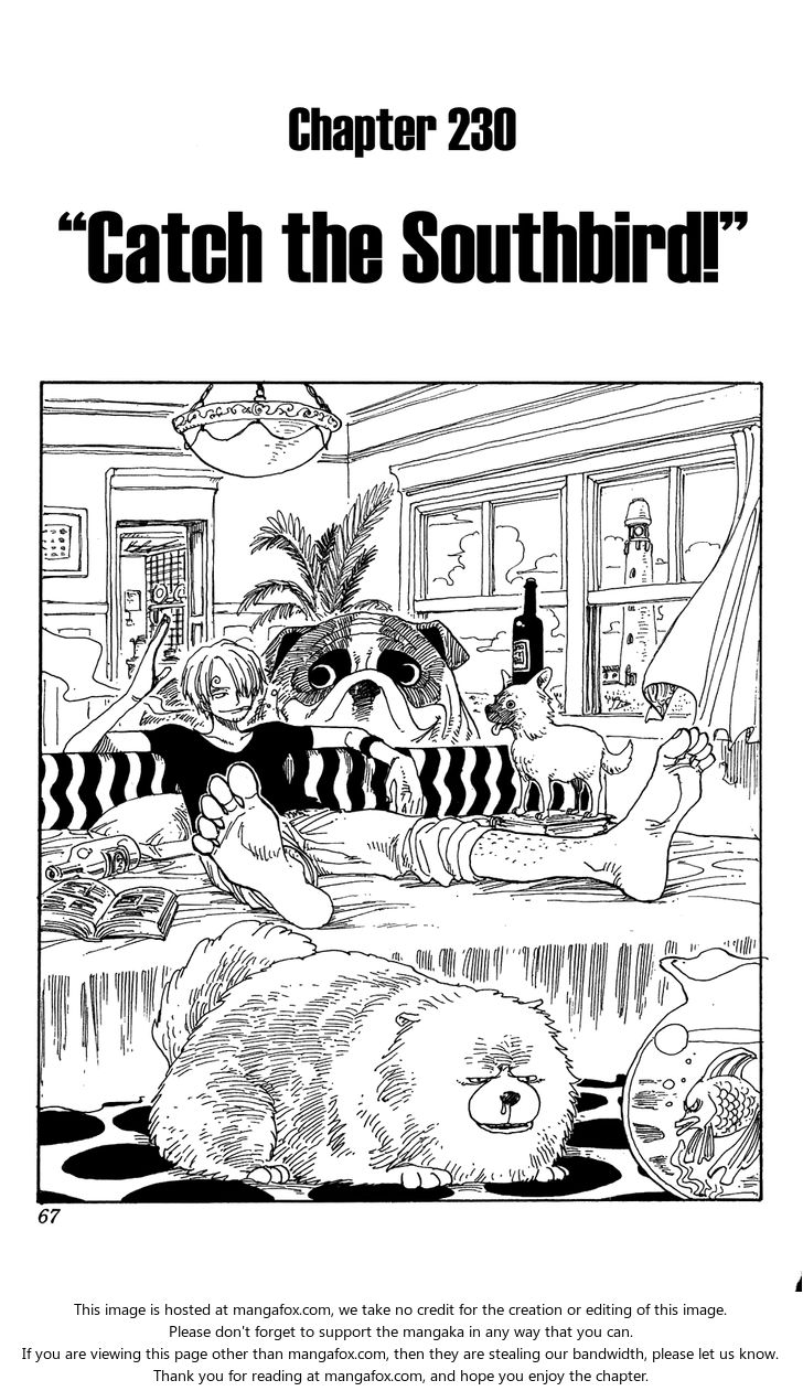 One Piece Vol.25 Chapter 230 page 1