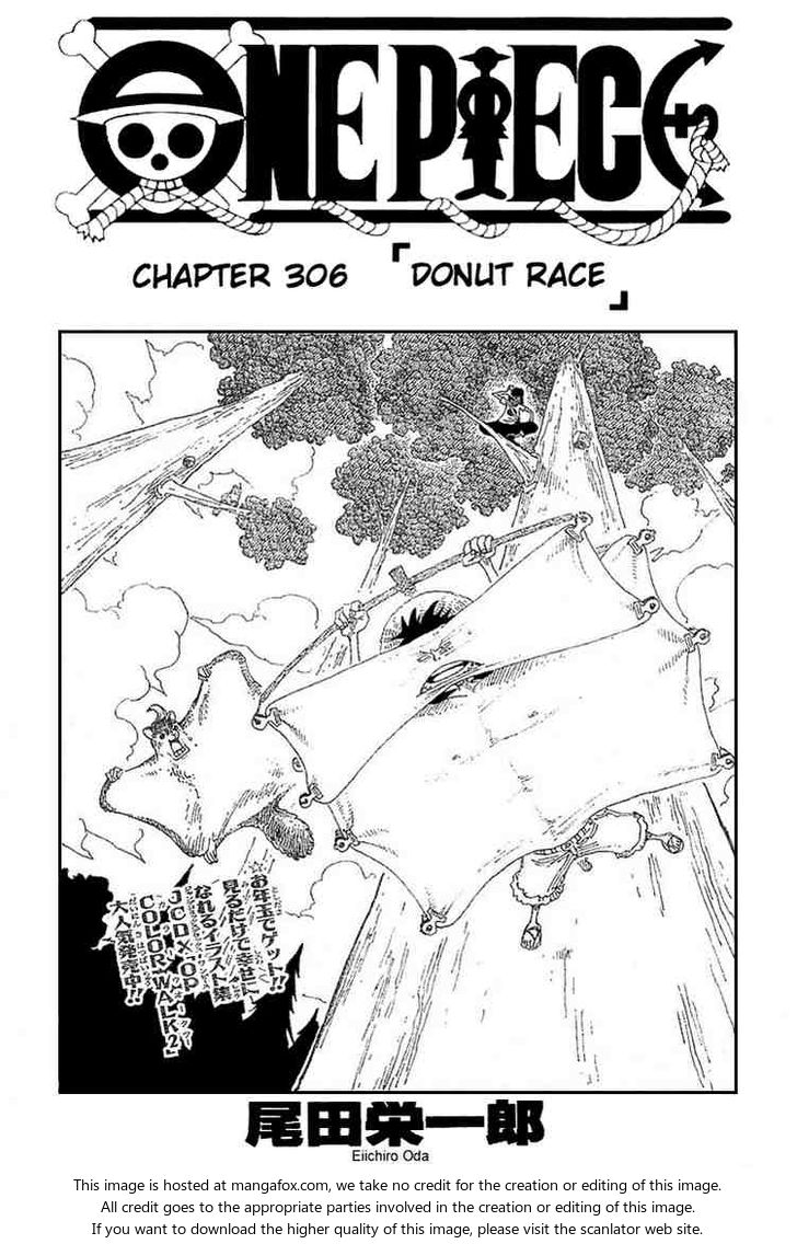 One Piece Vol.33 Chapter 306 page 6