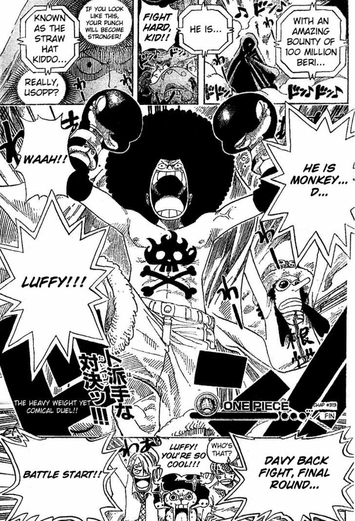 One Piece Vol.33 Chapter 313 page 19