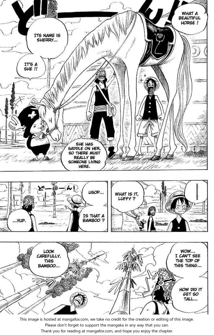 One Piece Vol.34 Chapter 304 page 15
