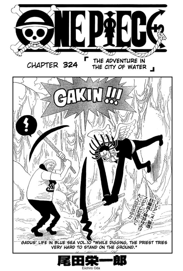 One Piece Vol.34 Chapter 324 page 1