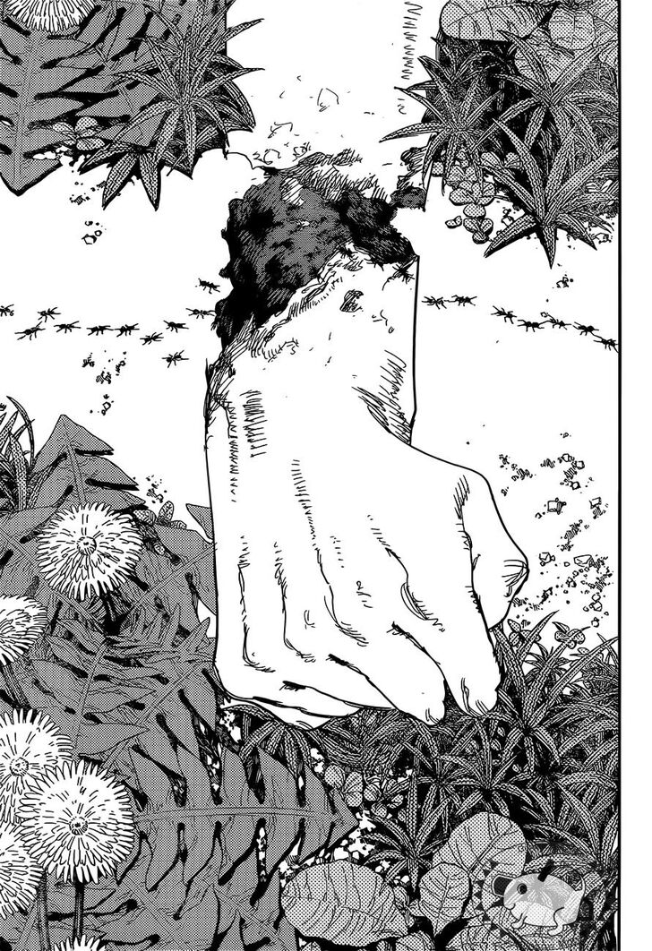 Chainsaw Man Chapter 063 page 18