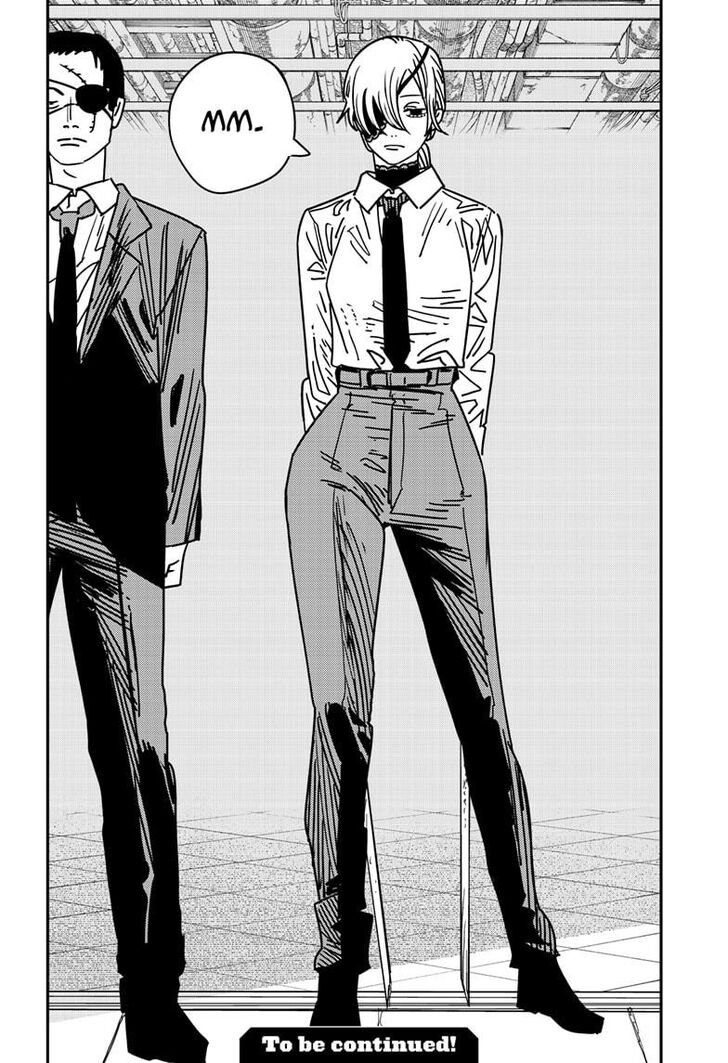 Chainsaw Man Chapter 161 page 17
