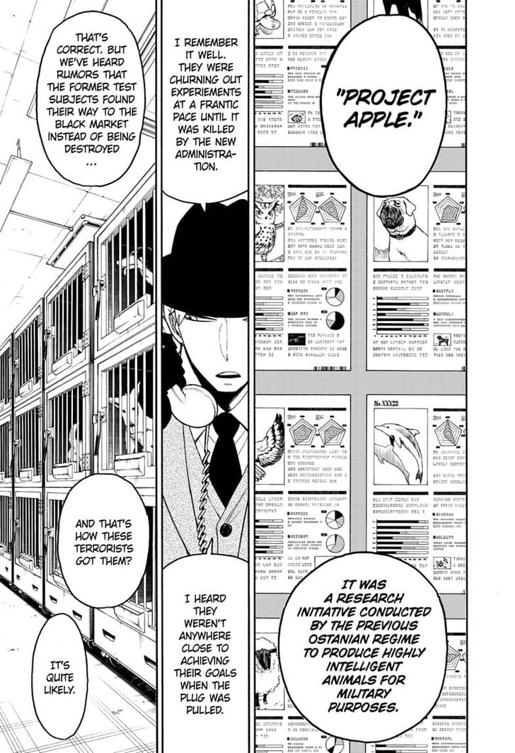 Spy X Family Chapter 019 page 7