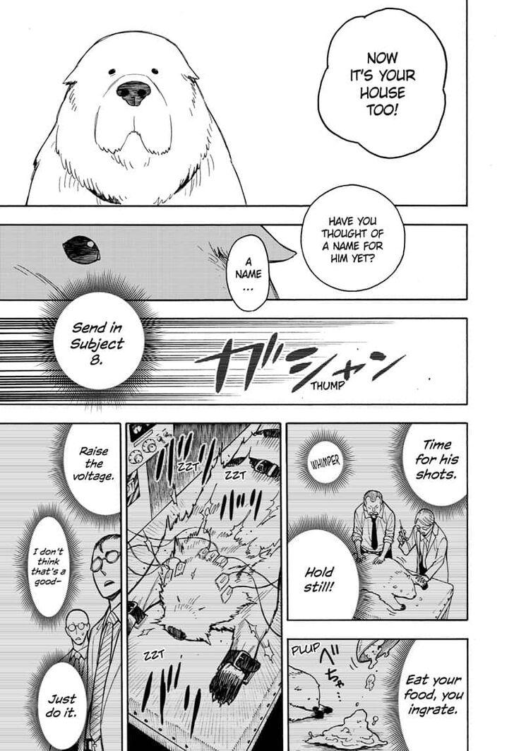 Spy X Family Chapter 022 page 25