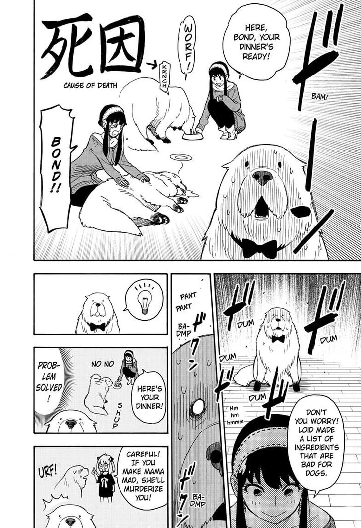 Spy X Family Chapter 040 page 8