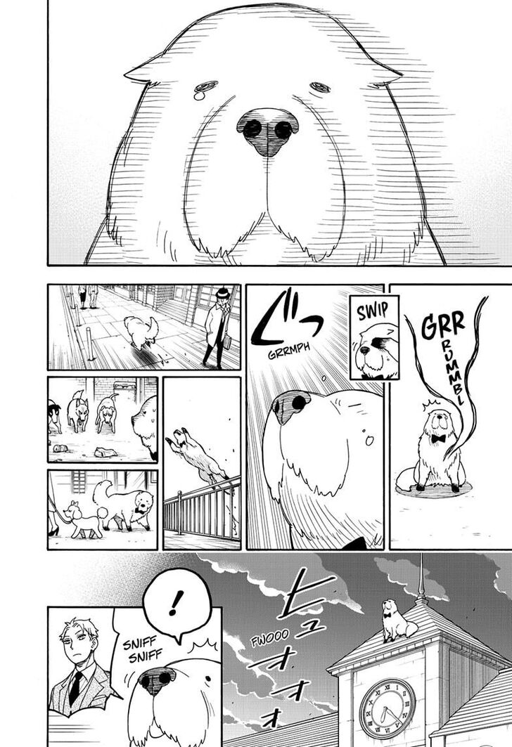 Spy X Family Chapter 040 page 14