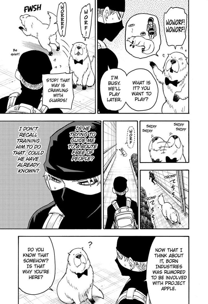 Spy X Family Chapter 040 page 17