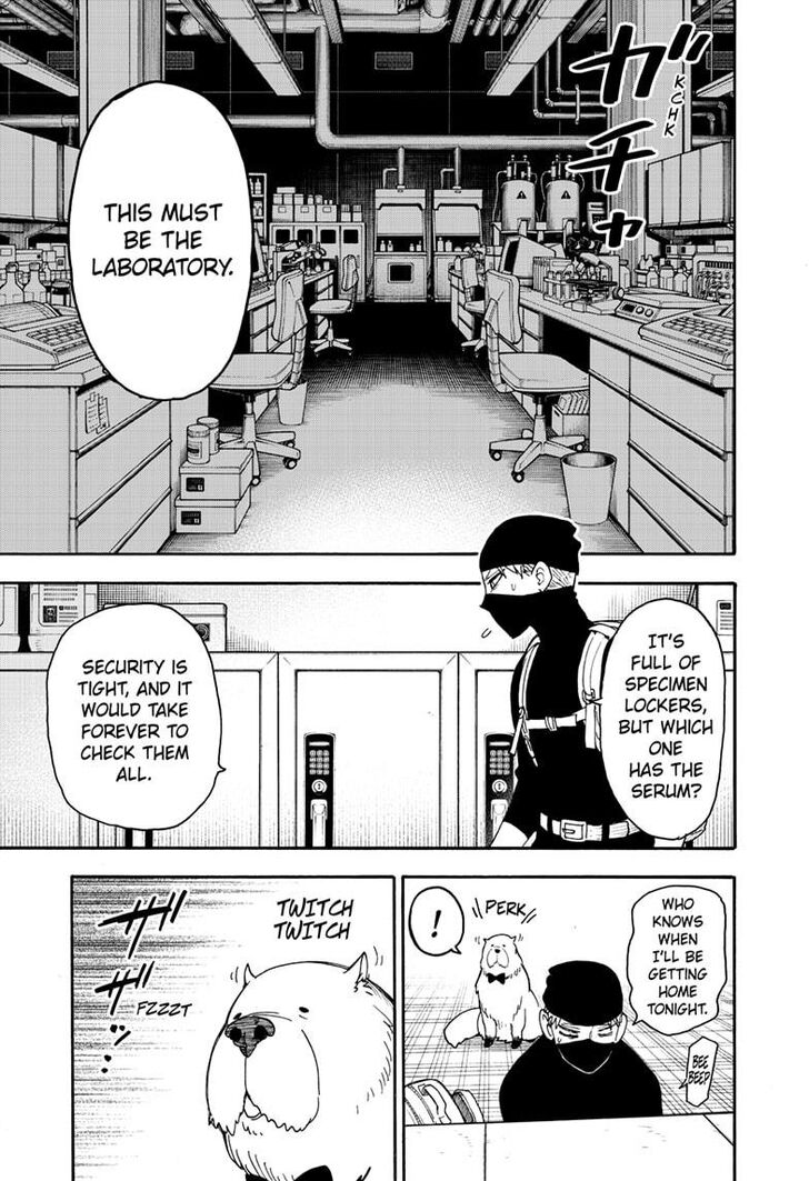 Spy X Family Chapter 040 page 19