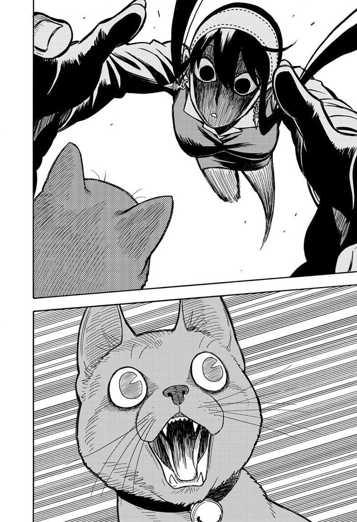 Spy X Family Chapter 043 page 17
