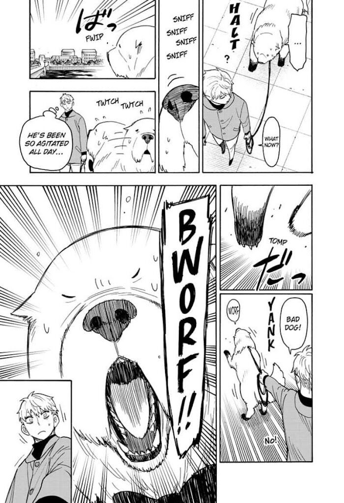 Spy X Family Chapter 058 page 13