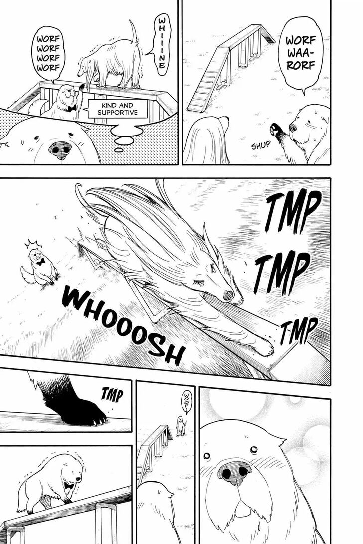 Spy X Family Chapter 066.5 page 14