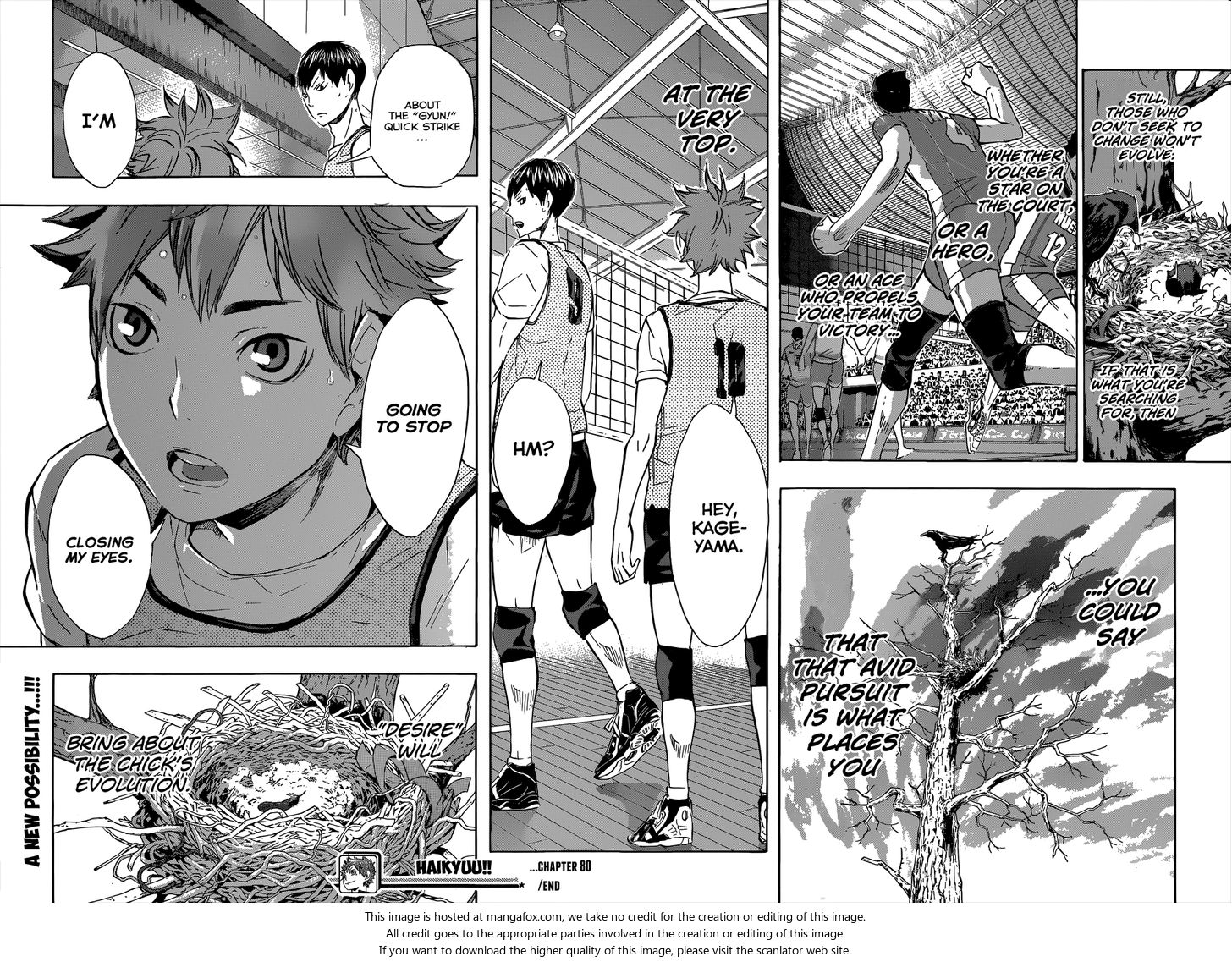 Haikyuu!! Vol.09 Chapter 080 page 21