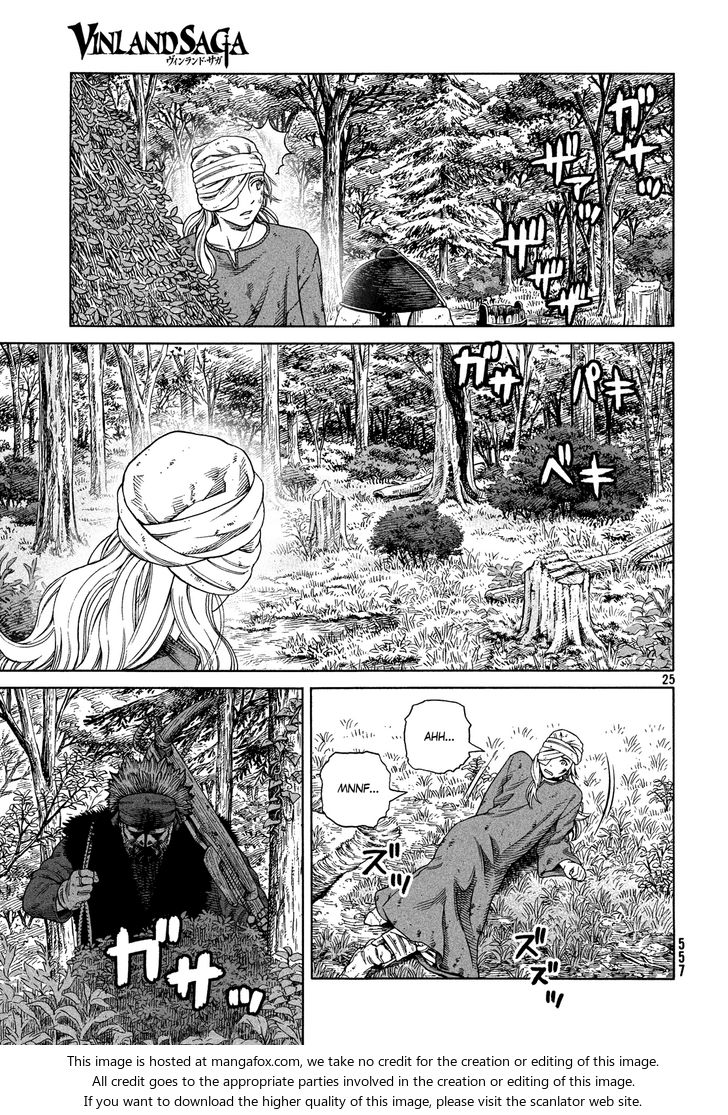 Vinland Saga Vol.17 Chapter 119 page 25