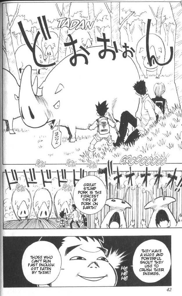 Hunter X Hunter Vol.02 Chapter 010 page 17