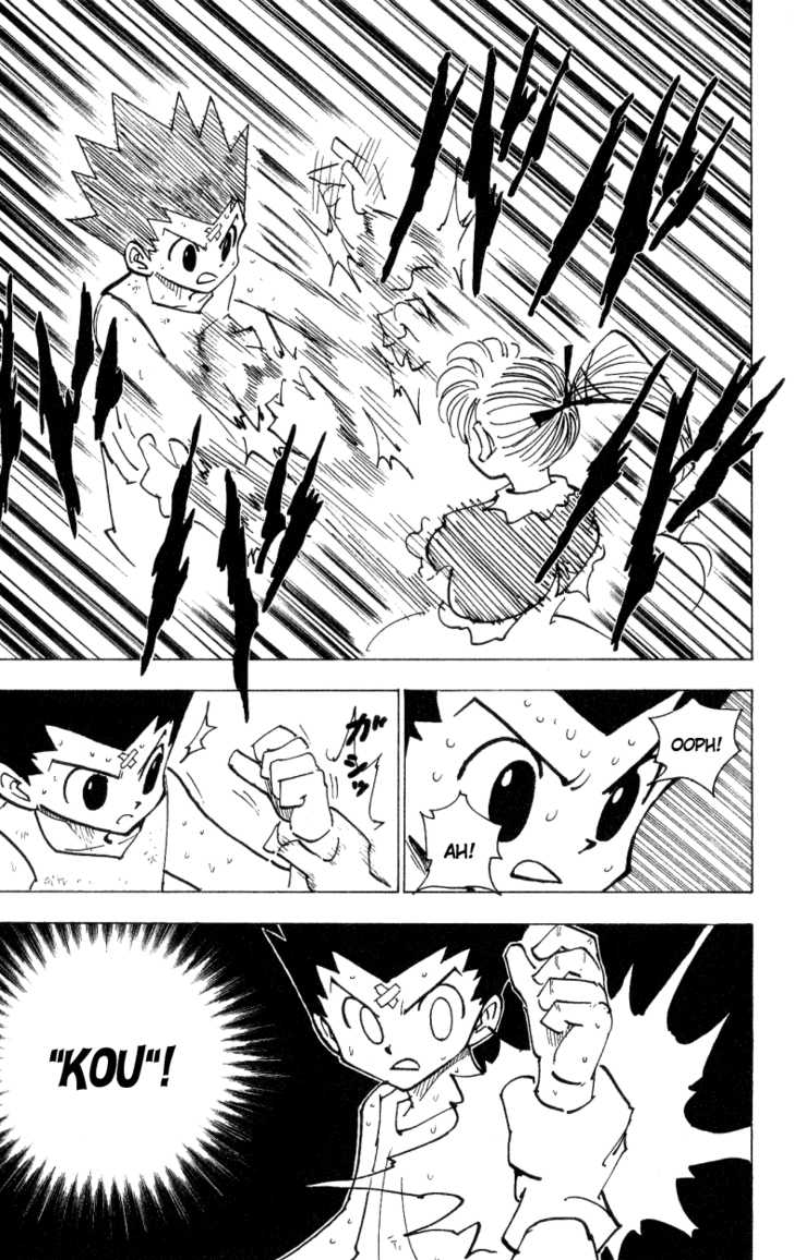 Hunter X Hunter Vol.17 Chapter 171 page 5