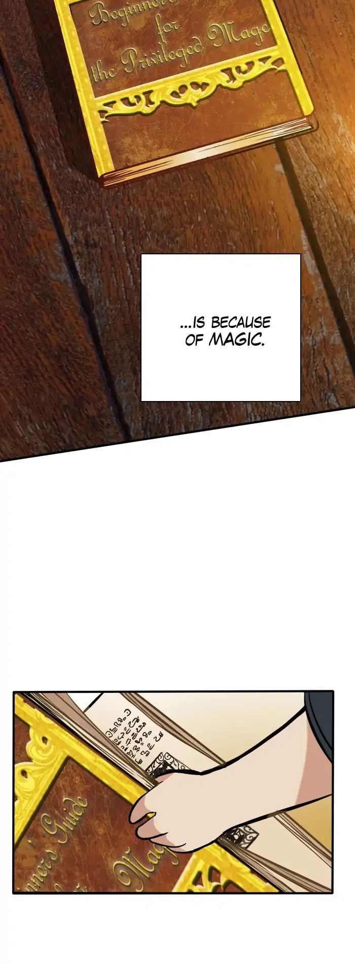 The Beginning After the End Chapter 002 page 35