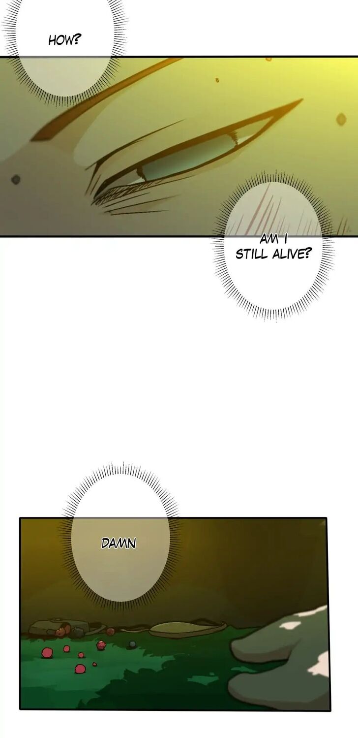 The Beginning After the End Chapter 011 page 30