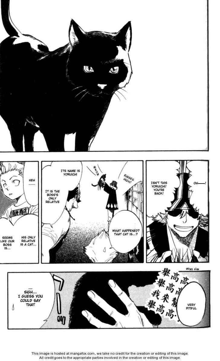 Bleach Vol.06 Chapter 051 page 11