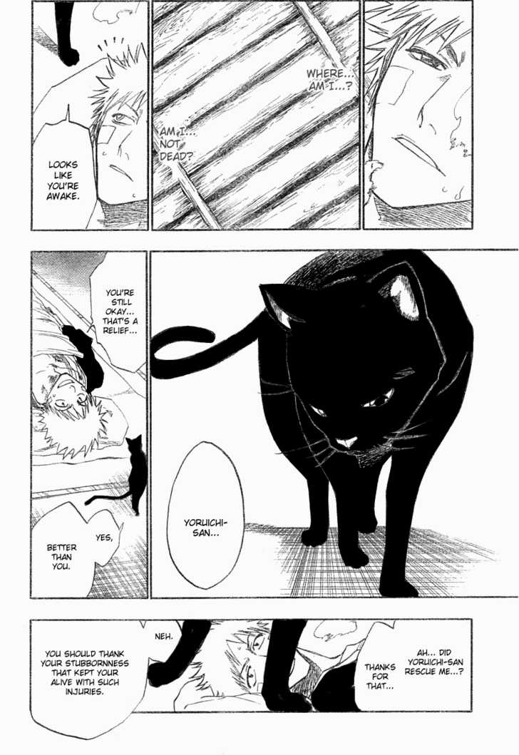 Bleach Vol.14 Chapter 116 page 15