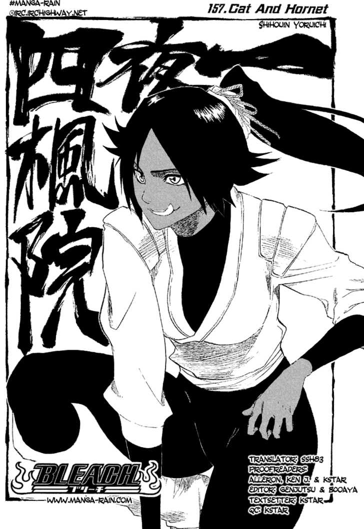 Bleach Vol.18 Chapter 157 page 9