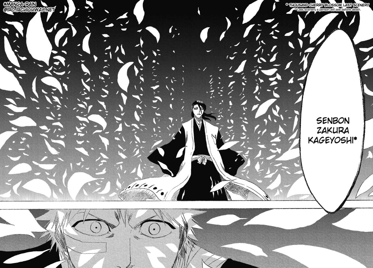 Bleach Vol.19 Chapter 161 page 15