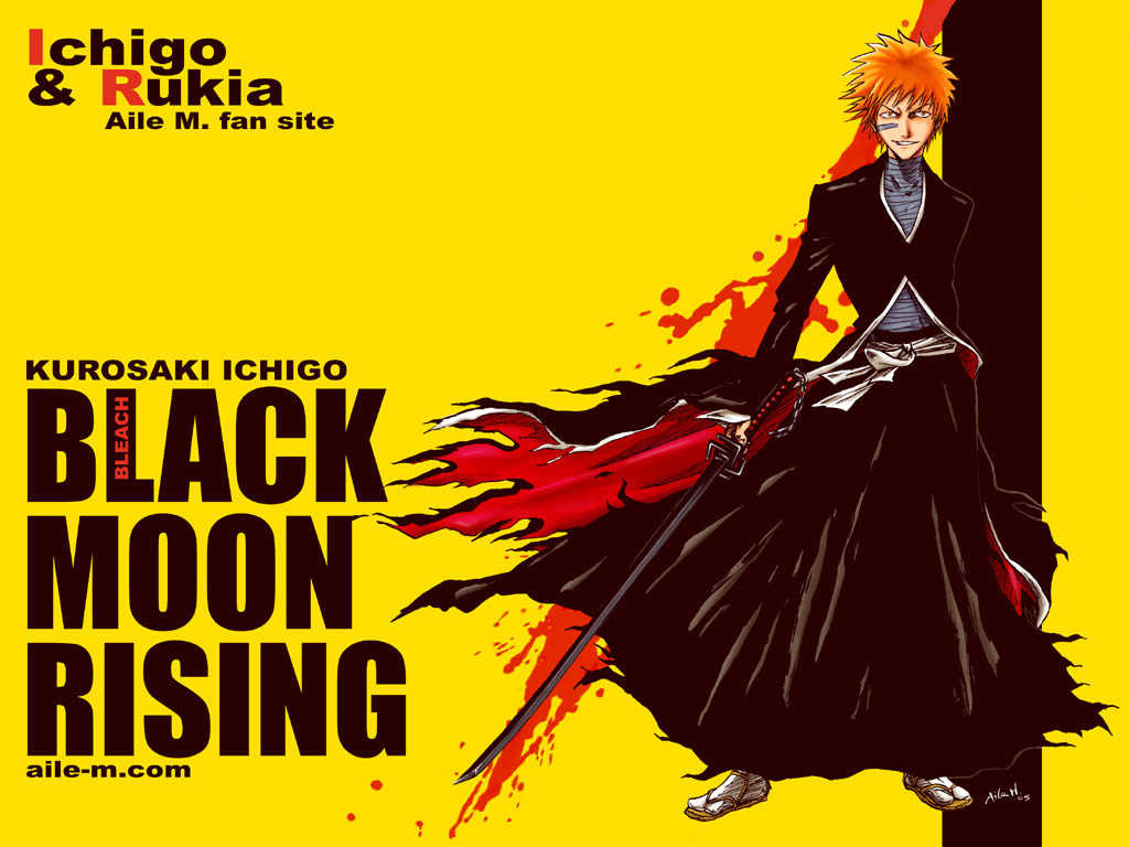 Bleach Vol.19 Chapter 162 page 2