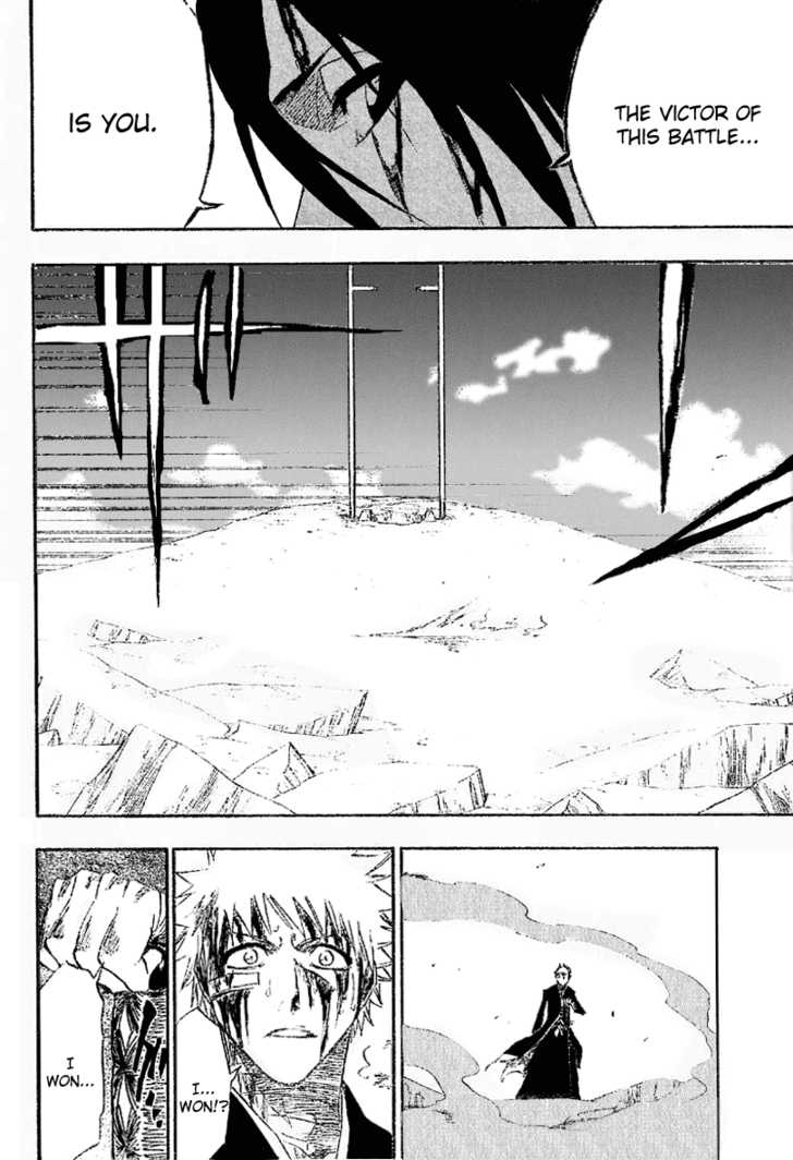 Bleach Vol.19 Chapter 167 page 15