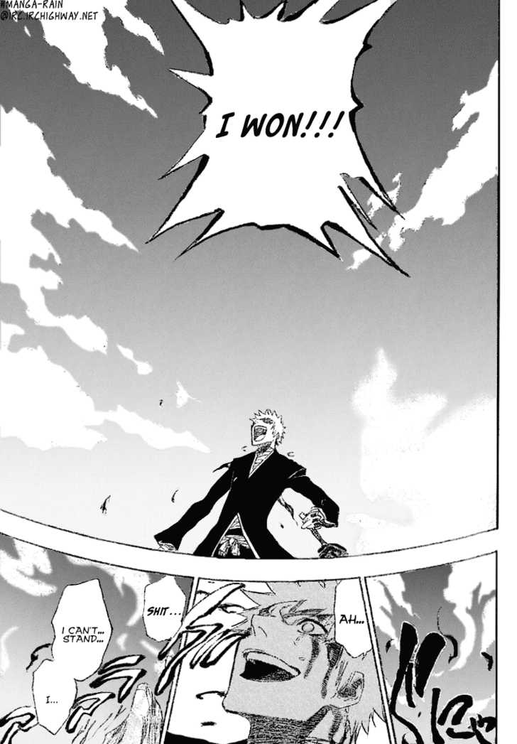 Bleach Vol.19 Chapter 167 page 16