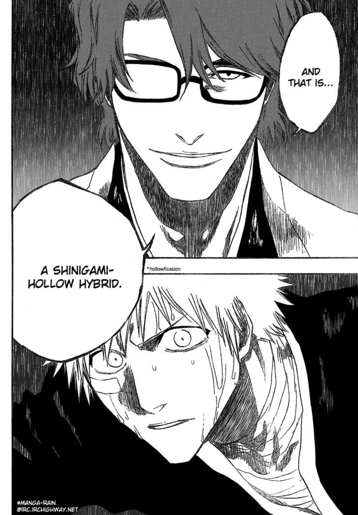 Bleach Vol.20 Chapter 175 page 13