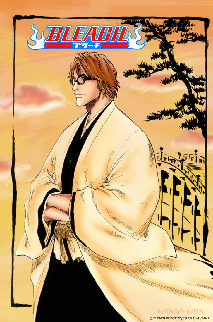 Bleach Vol.20 Chapter 177 page 3