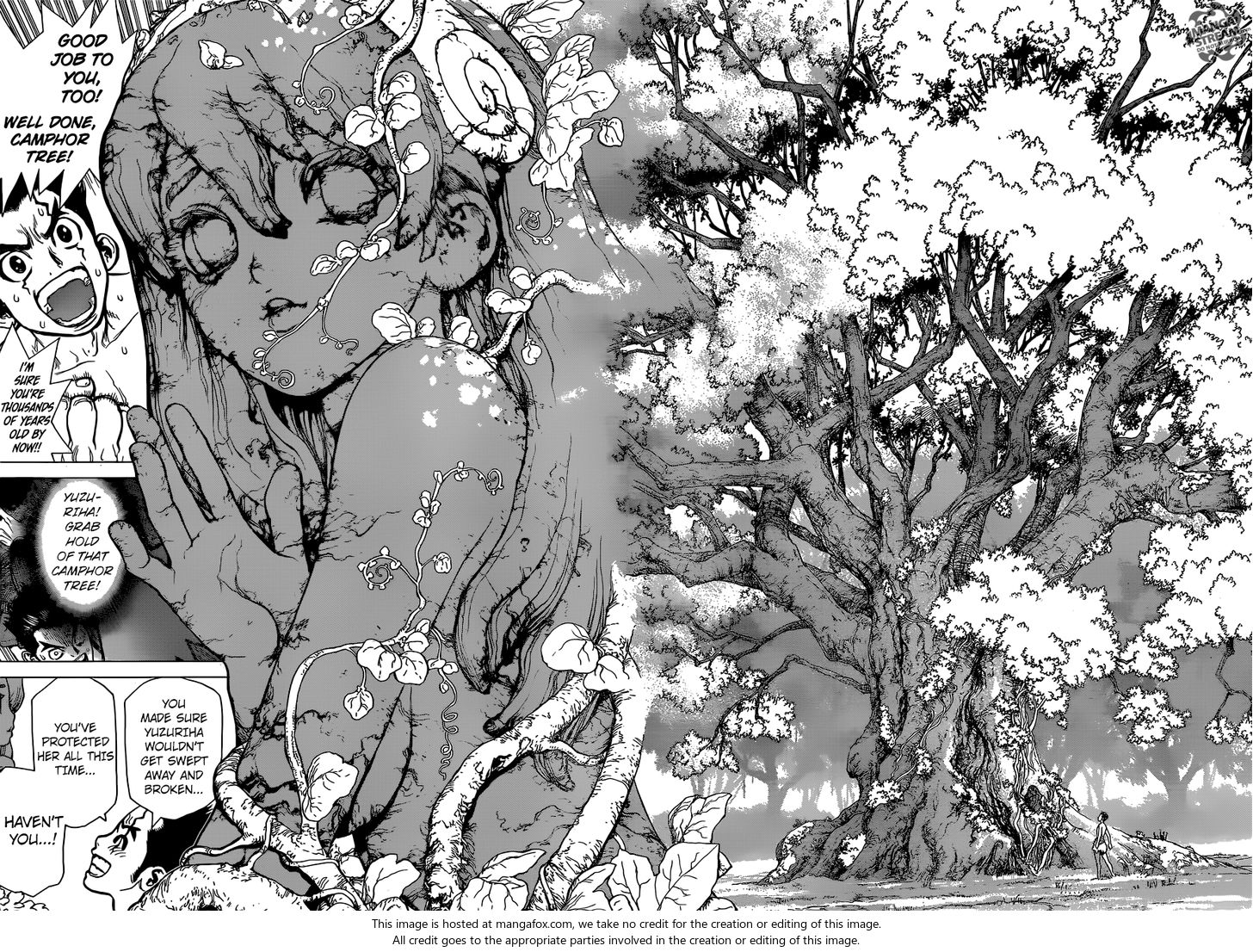 Dr. Stone Chapter 001 page 36