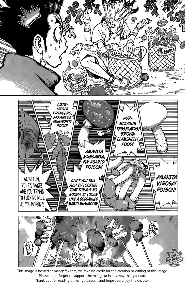 Dr. Stone Chapter 002 page 4