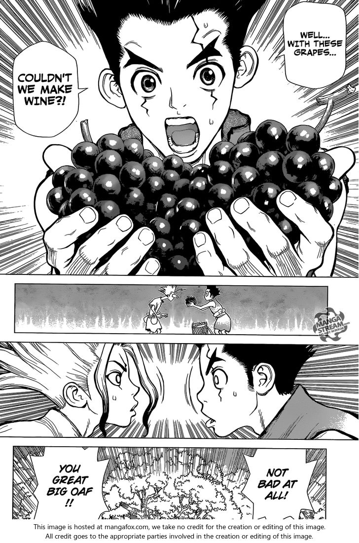 Dr. Stone Chapter 002 page 13