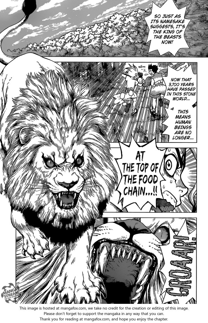 Dr. Stone Chapter 003 page 8