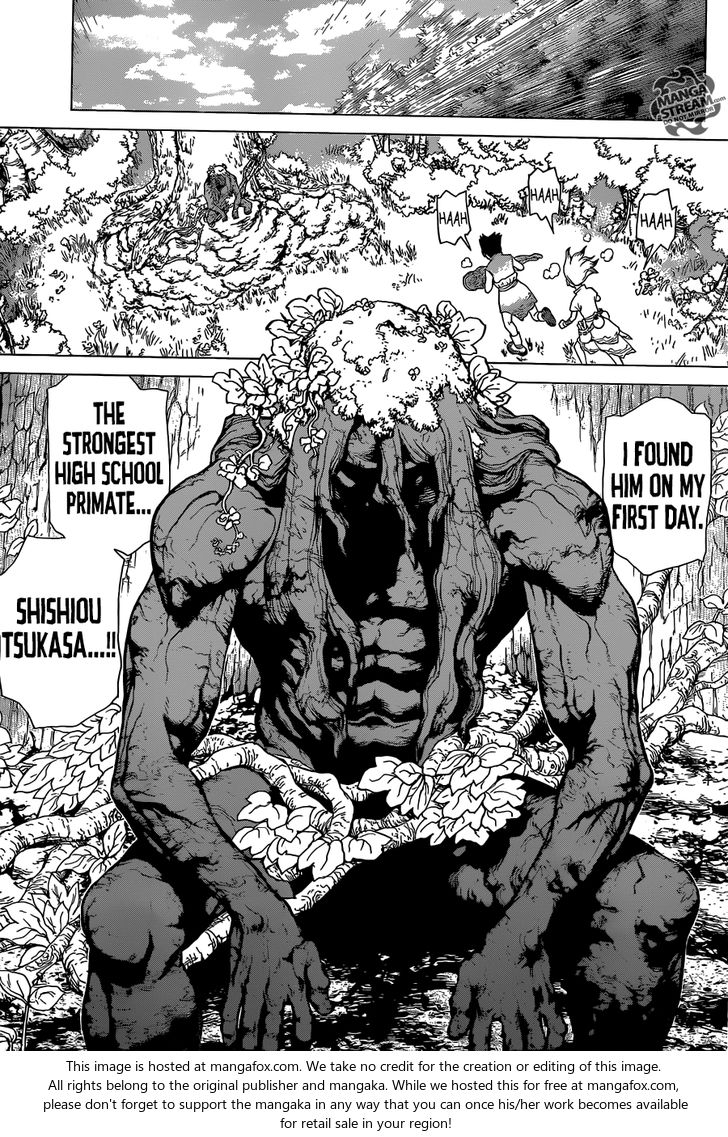 Dr. Stone Chapter 003 page 14