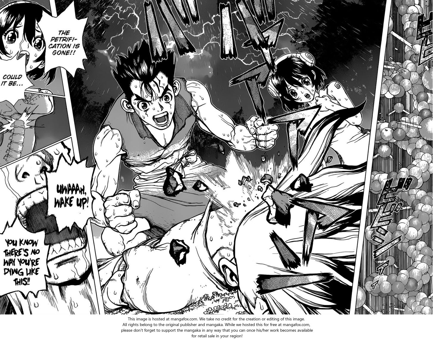 Dr. Stone Chapter 012 page 15