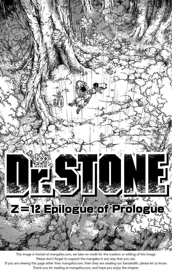 Dr. Stone Chapter 012 page 17