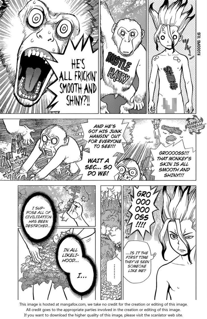 Dr. Stone Chapter 013 page 5