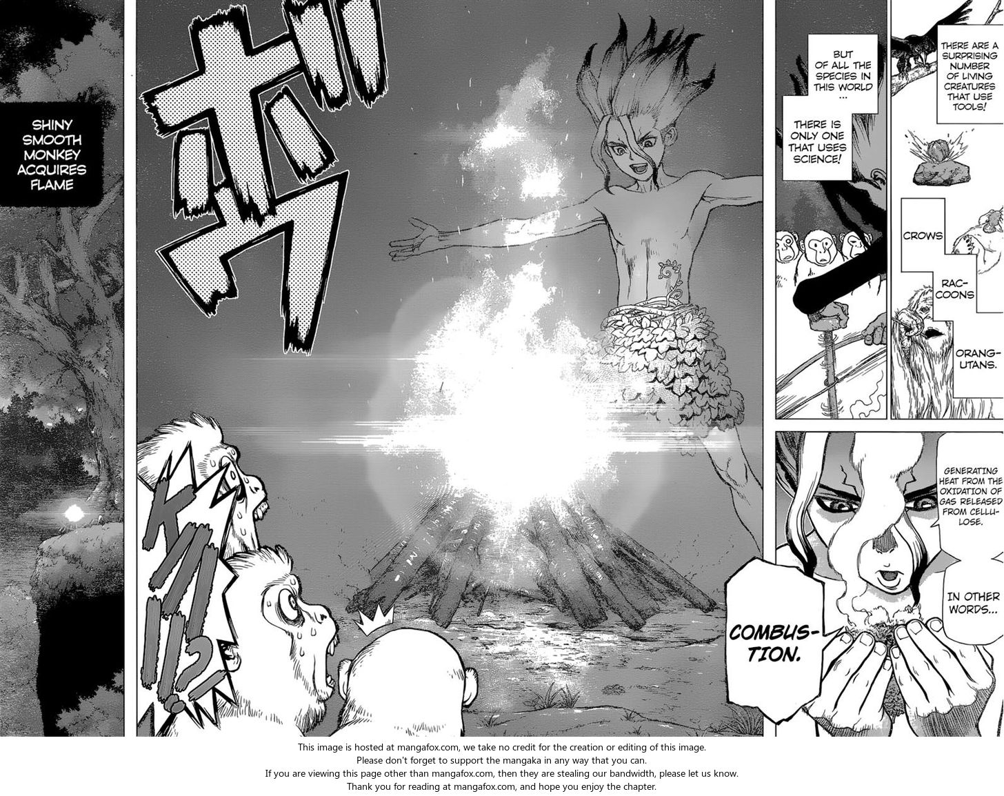 Dr. Stone Chapter 013 page 15