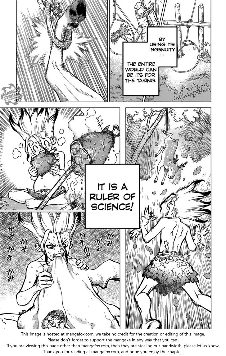 Dr. Stone Chapter 013 page 17